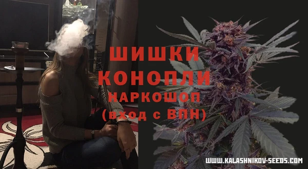 гидропоника Осинники