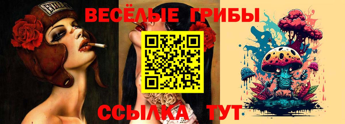 Галлюциногенные грибы Cubensis  Псилоцибиновые грибы GOLDEN TEACHER  Хасавюрт  Вход с VPN 