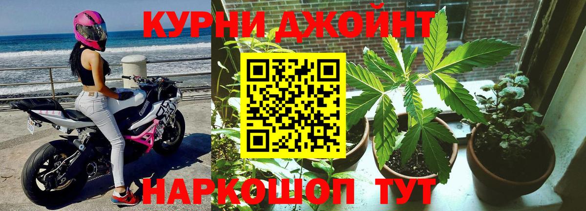 Конопля сатива Хасавюрт